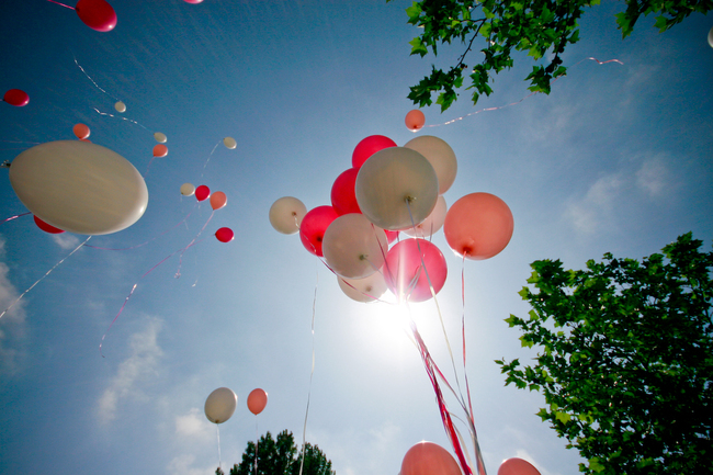 CC Flickr nemjit CC Flickr nemjit